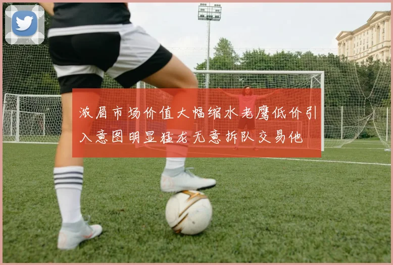 浓眉市场价值大幅缩水老鹰低价引入意图明显猛龙无意拆队交易他