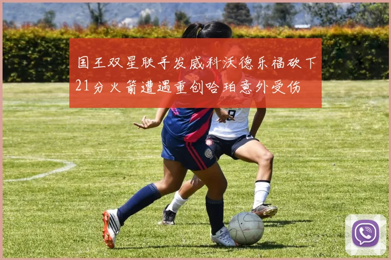 国王双星联手发威科沃德乐福砍下21分火箭遭遇重创哈珀意外受伤