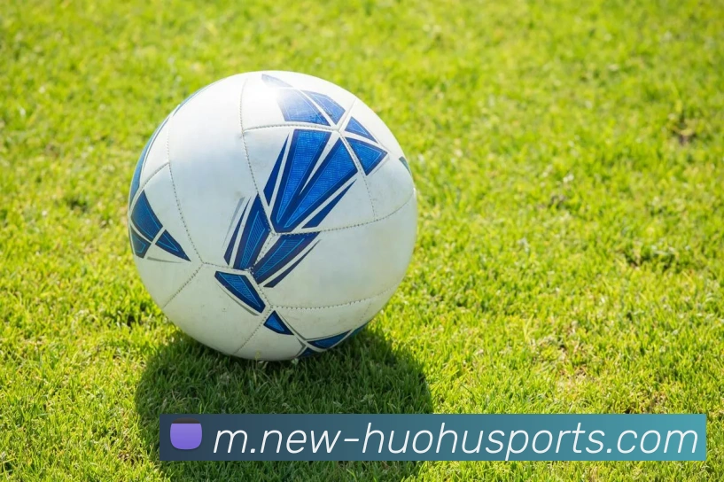 火狐体育APP 封面图