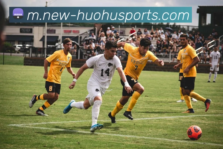 数据防护可视化